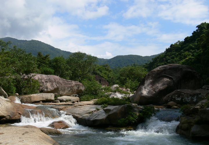 p>吊罗山国家森林公园位于海南岛东南部,地跨陵水,保亭,琼中,五指山