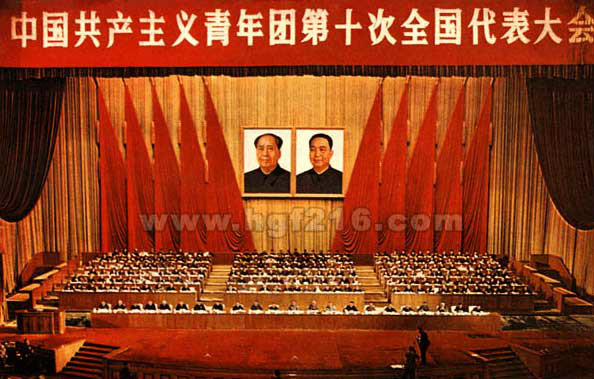 p>共青团十大正确评价了经过"文化革命"磨练的中国青年一代,提出并