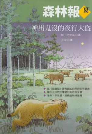 神出鬼没的夜行大盗