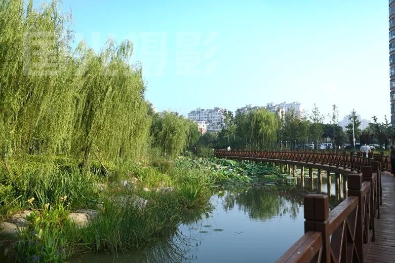沭阳县沭河公园