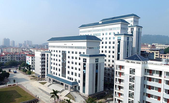  p>右江民族医学院(youjiang medical university for nationalities)