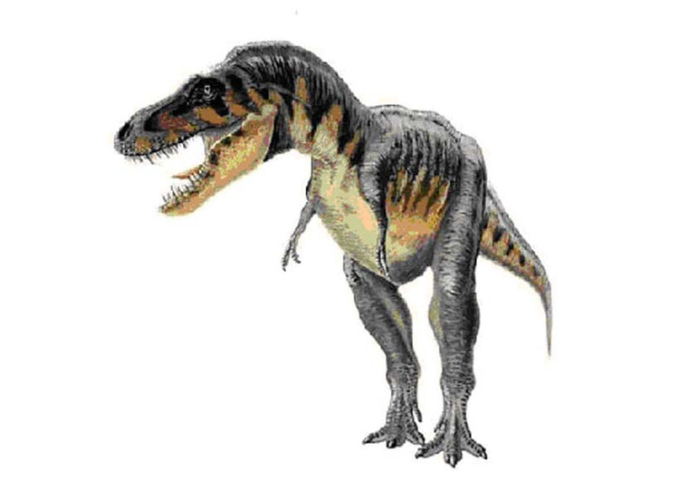 一种山西小型食草恐龙,天镇龙(长4米/晚白垩世恐龙)-新闻中心-自贡三