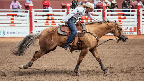 p>牛仔(英文:cowboy;西班牙文:vaquero)是指在美洲 a target"_blank