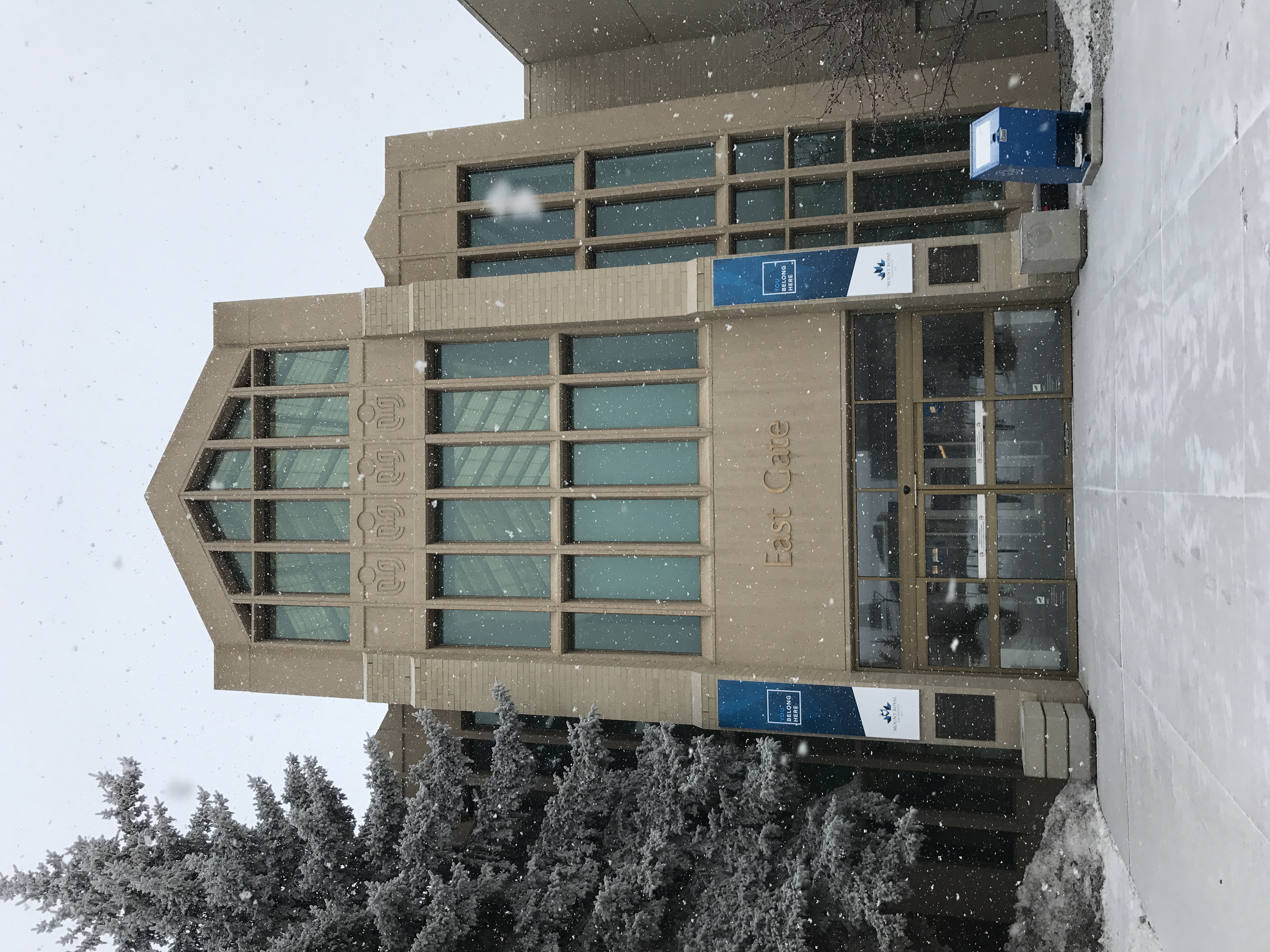 皇家山大学