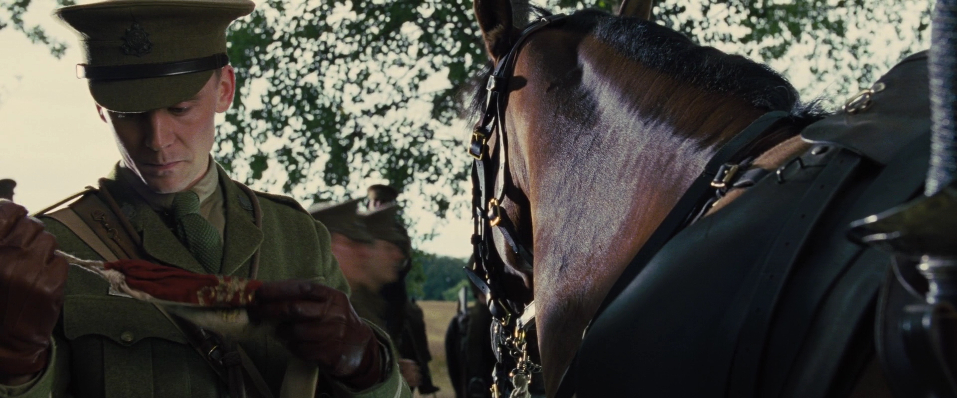 电影战马 全网资源