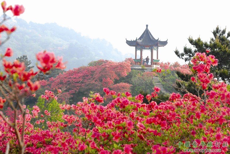 p></p></a>伏龙山位于湖北省十堰市 a target=