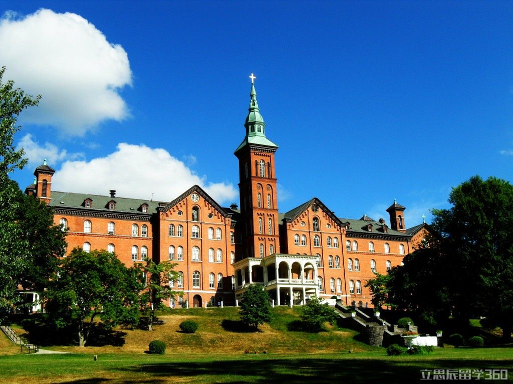 mount saint vincent university