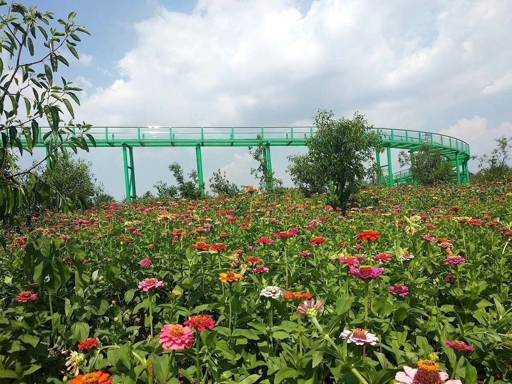 襄阳福恩牡丹园景区