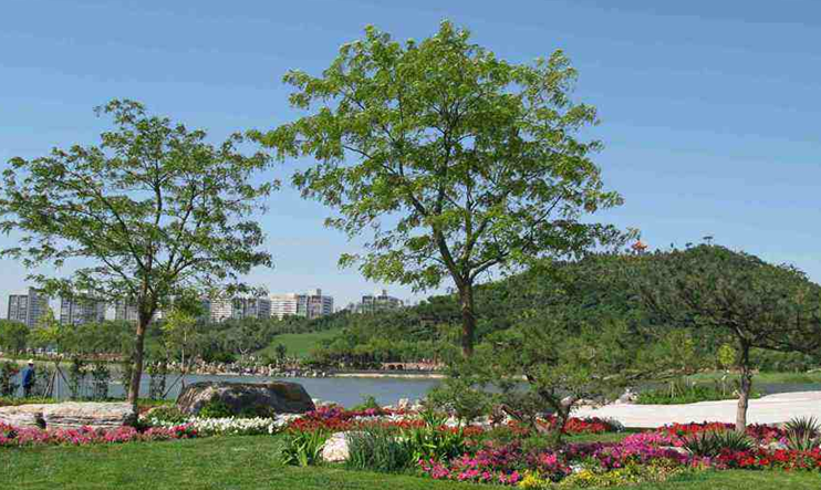 翠屏公园 全网资源