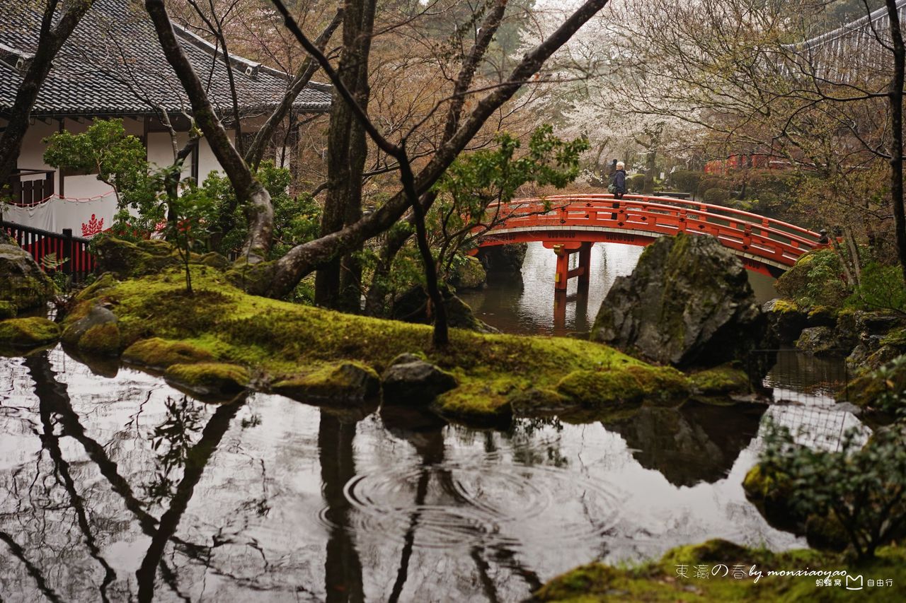 醍醐寺