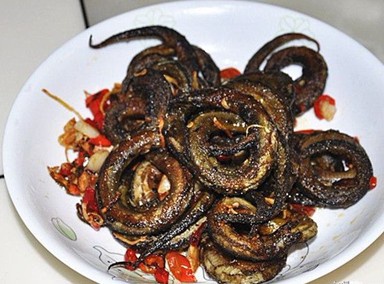 盘龙鳝鱼