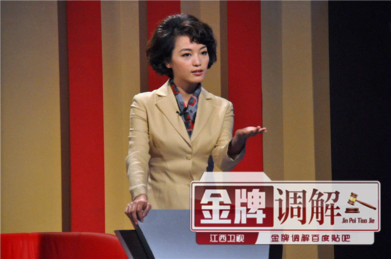 金牌调解完整版 全网资源