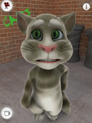 tom猫
