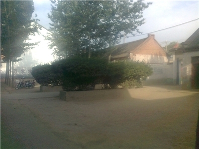东屯村