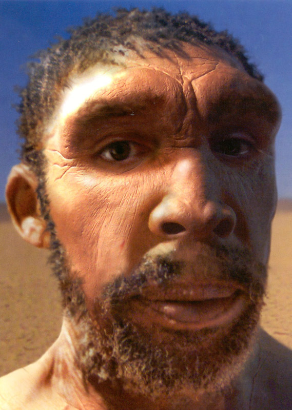 西亚人,西亚人长相 伤感说说吧