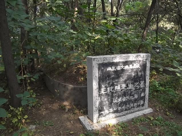 王统照