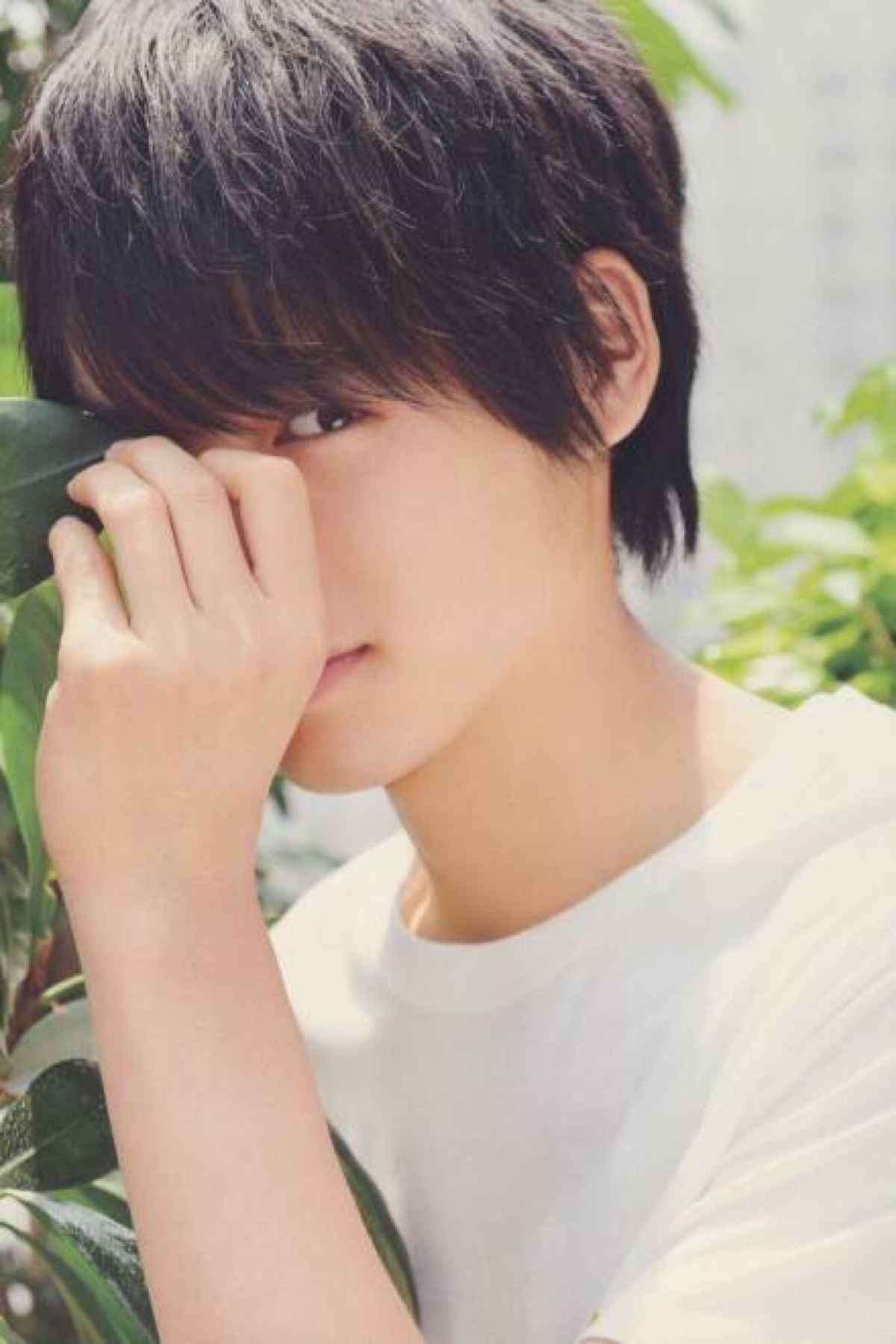 p></p></a>福士苍汰 i>(ふくし そうた,fukushi sota) /i>,1993年5月30日出生
