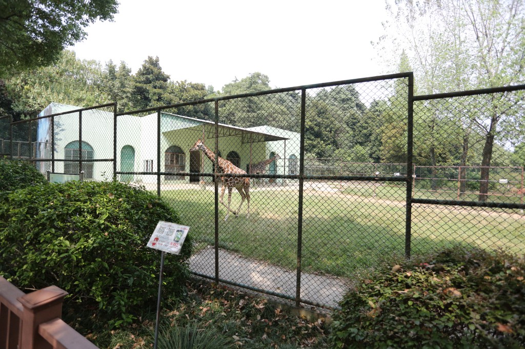 南京红山森林动物园