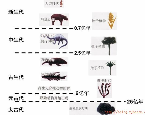 生物进化