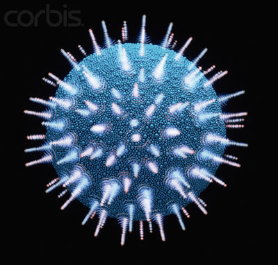  p> b>病毒 /b>(英语:virus,中文旧称"滤过性病毒")是由一个 a target