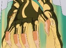  p></p></a>沙加是日本漫画《 a target=