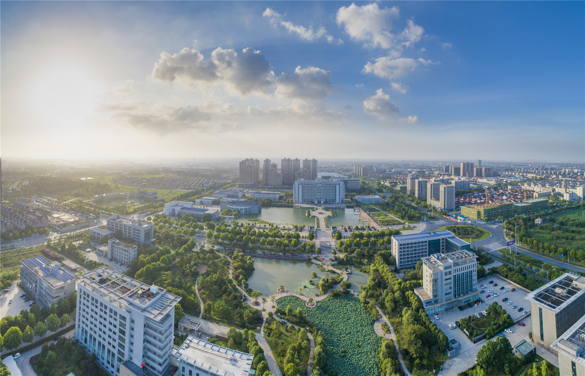 扬中 网站建设 全网资源