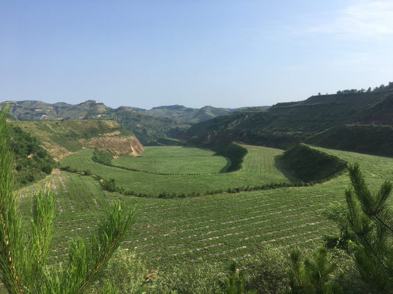 地处志丹县西部,洛河北岸,东邻 a href data-lemmaid"193488