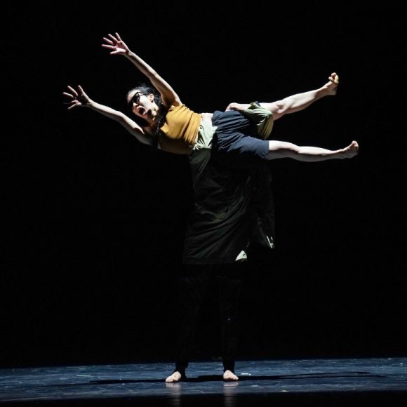 该舞种的作品追求鲜明的艺术形象和丰富的民族审美情趣,反映中国当代