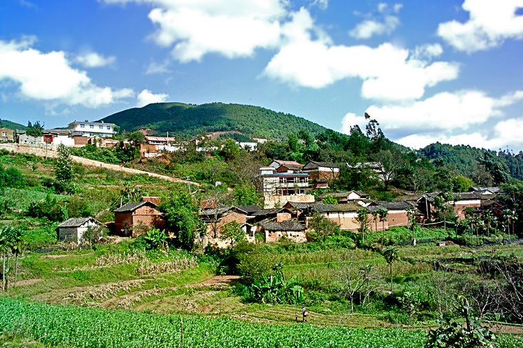 大麦地村庄