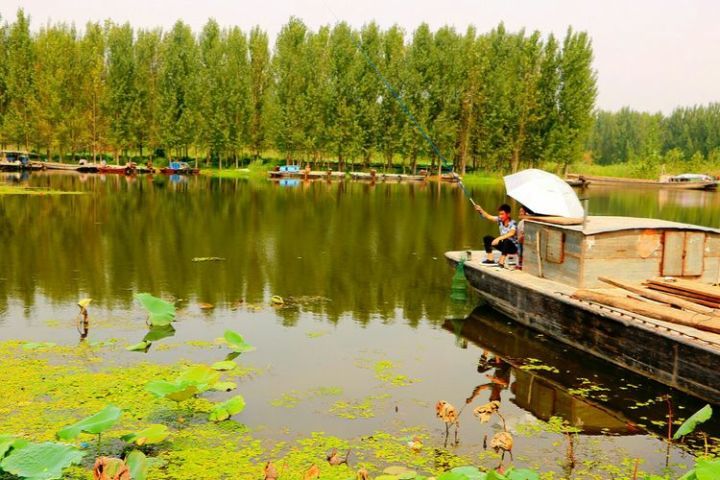  p>孟楼湿地旅游景区位于山东省济宁市鱼台县王鲁镇孟楼村及其两翼