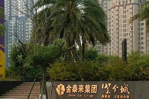金泰来紫金城