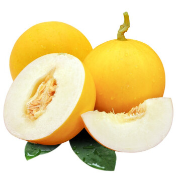  p></p></a>黄河蜜瓜是 a href=