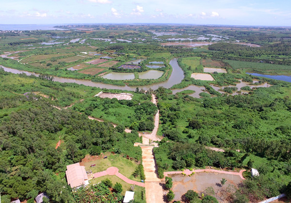 雷州九龙山红树林国家湿地公园