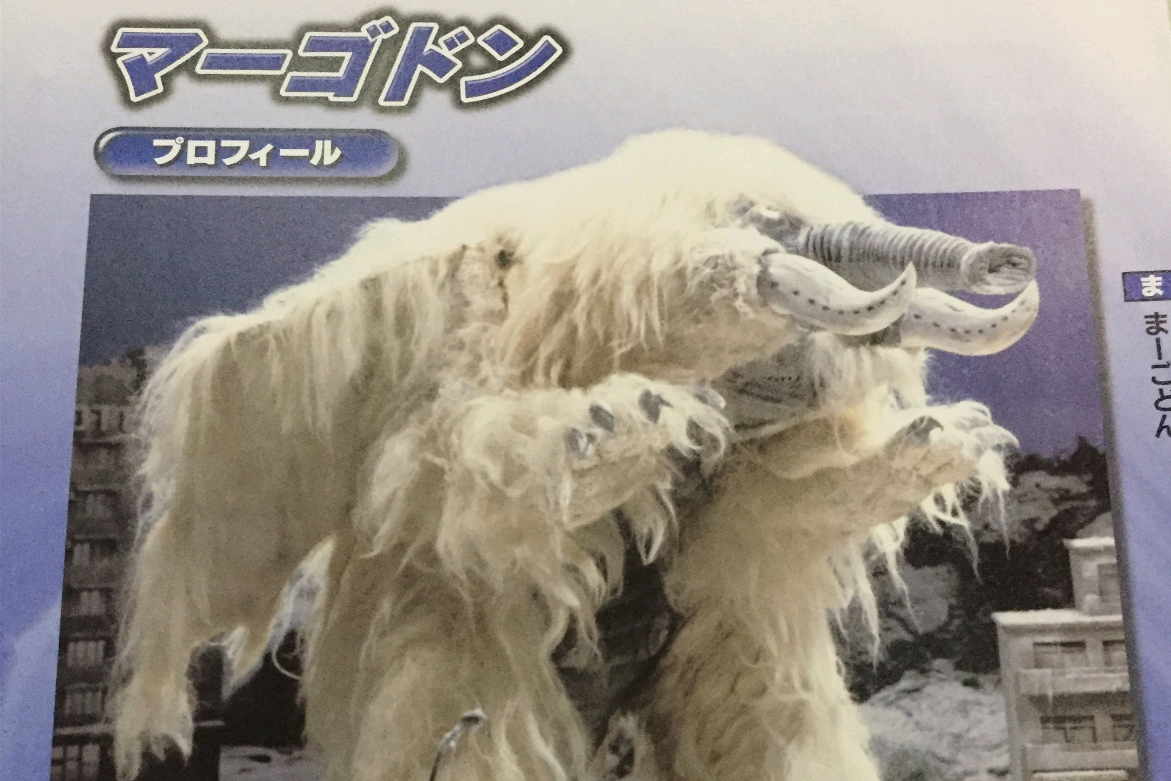 玛格顿