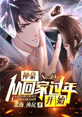 神豪从回家过年开始