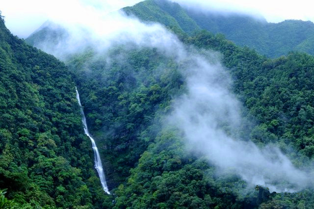 p></p></a>十万大山国家森林公园位于广西防城港市上思县西南部,距县城36公里