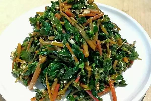 p>炒马齿苋粑粑是一道菜品,制作材料有马齿苋,米粉,葱,姜,蒜 盐