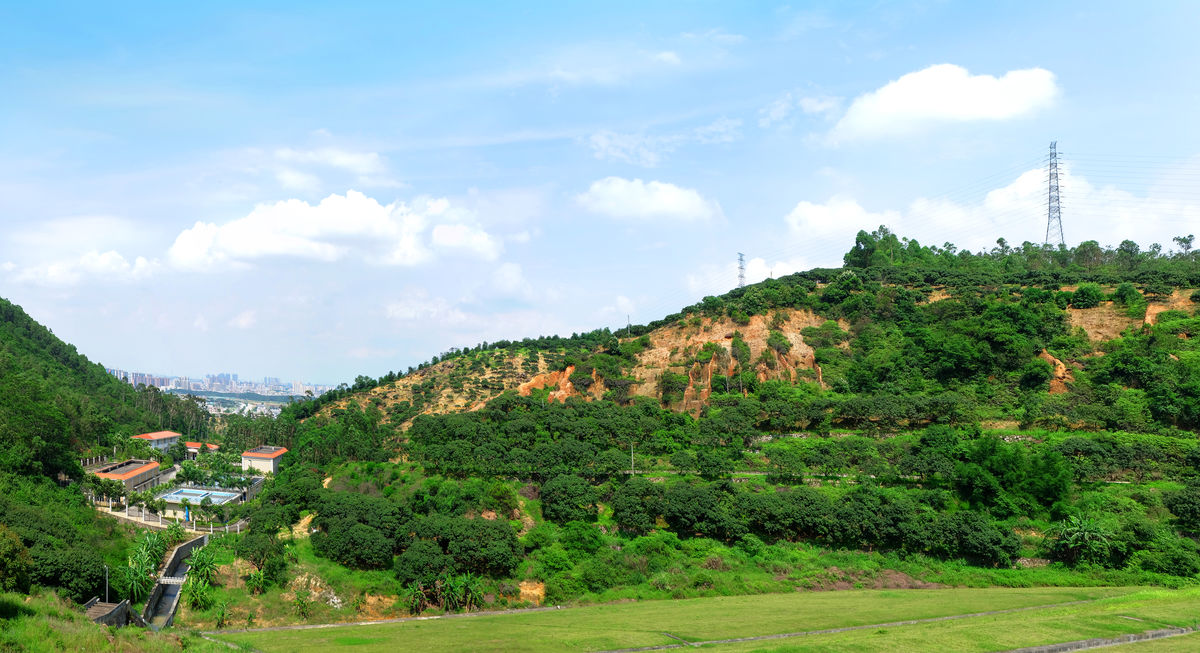 大岭山林场