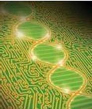 基因拼接技术和DNA重组技术