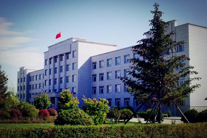 东京城林业局