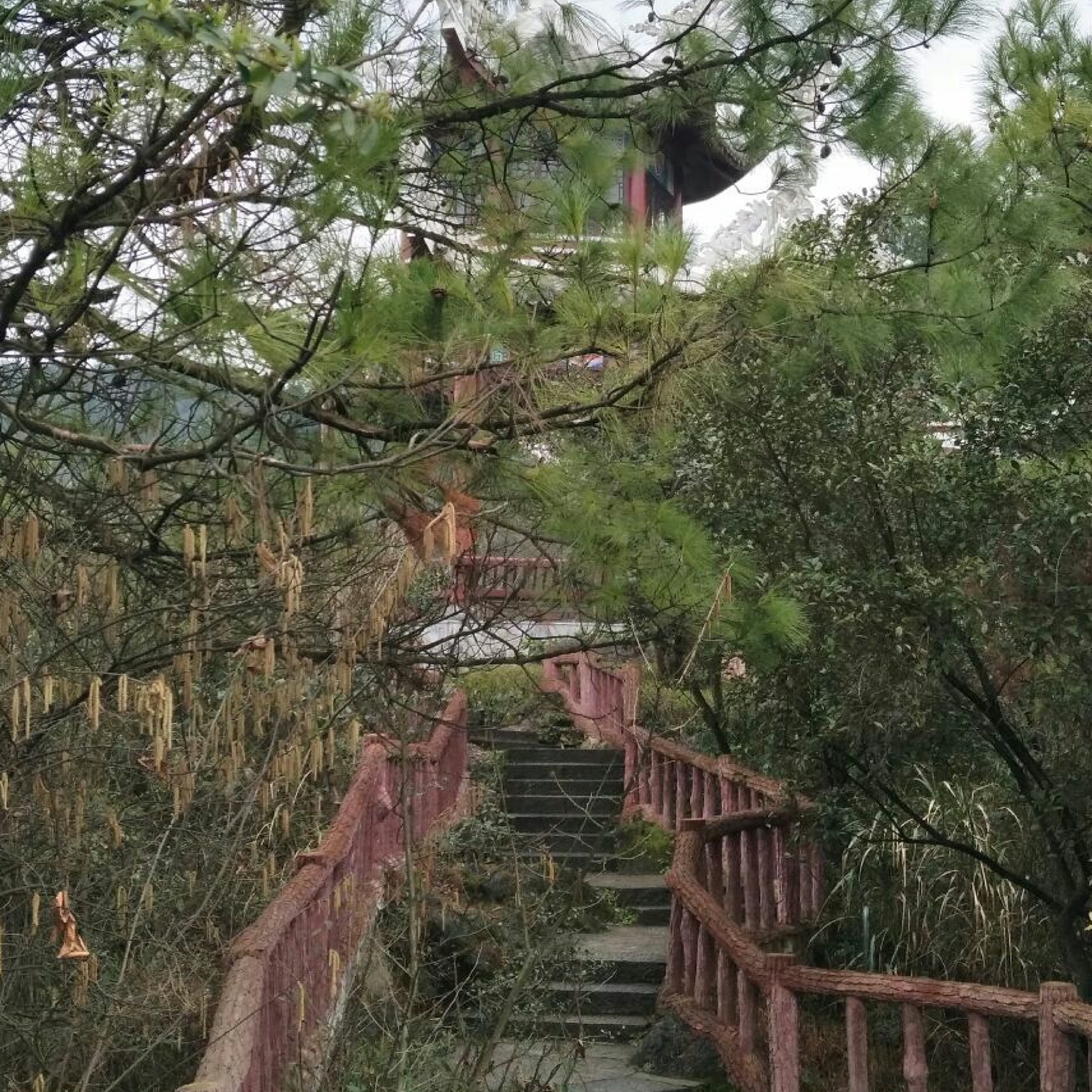 鹿冲关森林公园
