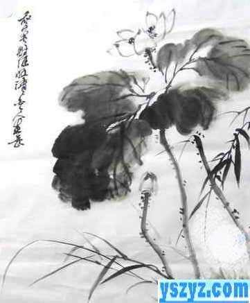 荷花画法