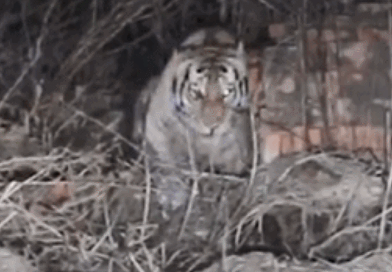  p></p></a> span class=