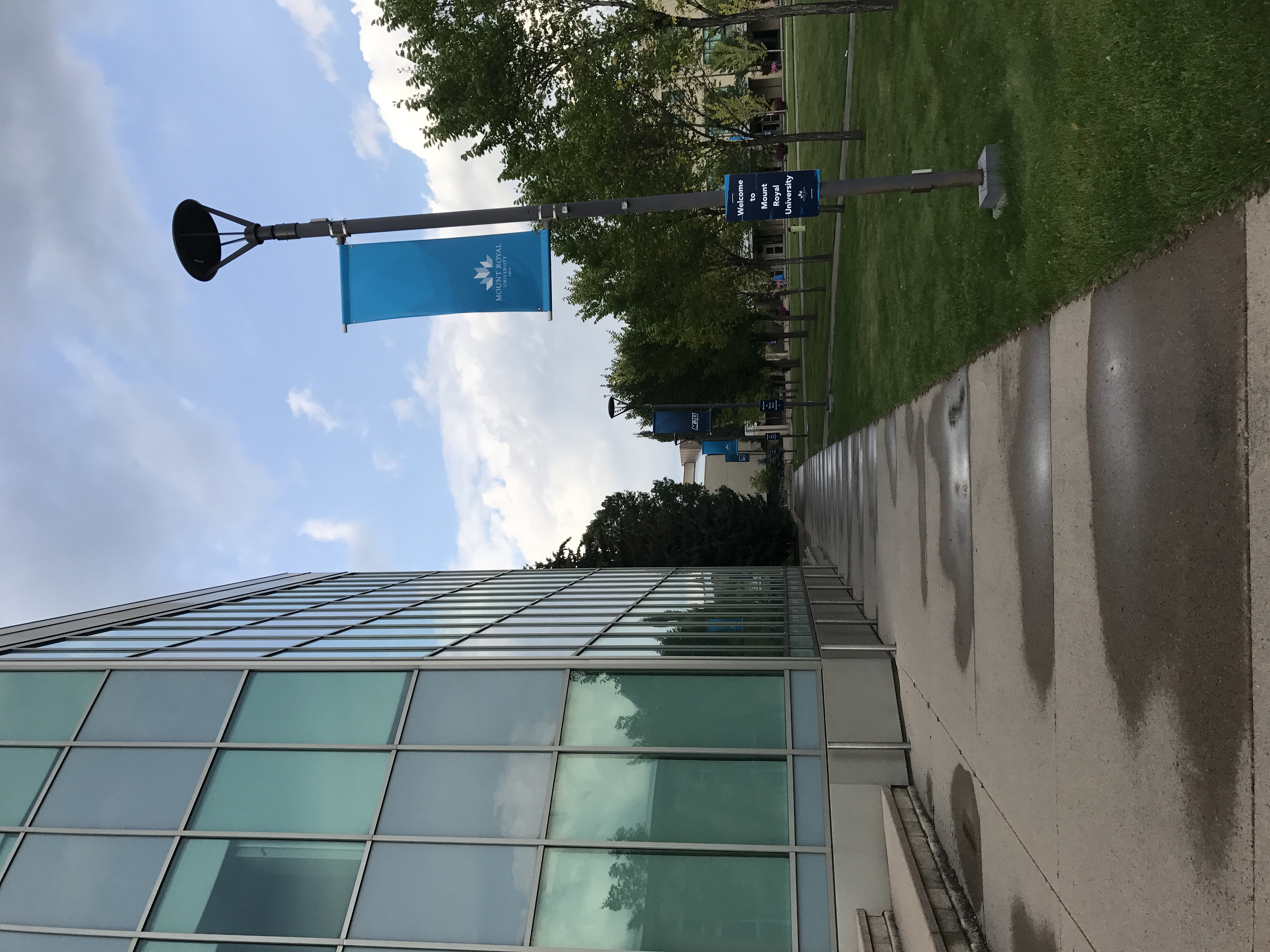 皇家山大学