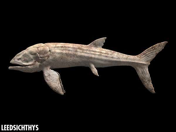  p>利兹鱼(leedsichthys problematicus)是一种已经灭绝巨大的厚茎鱼