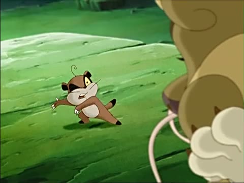 小猪熊 全网资源