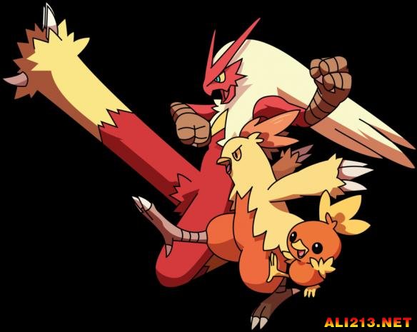  p></p></a>火焰鸡,日本 a href=