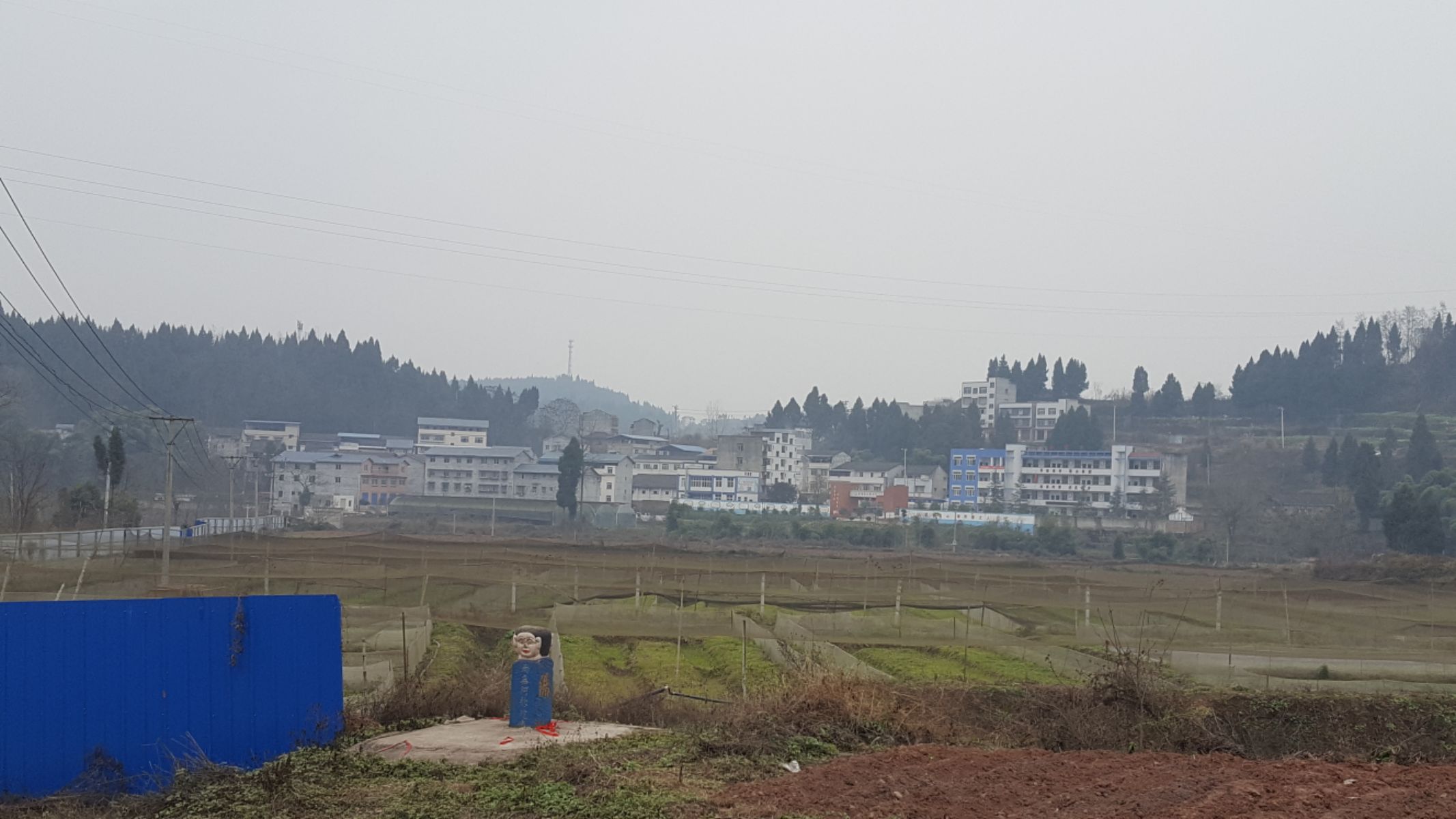 双桂镇