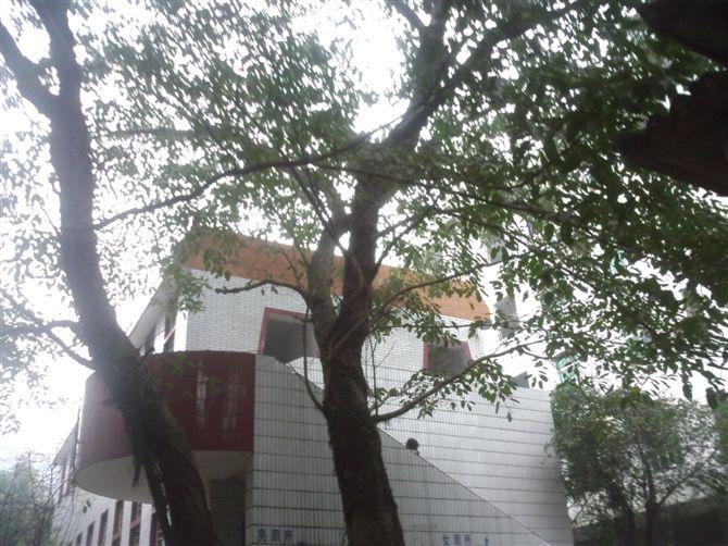 四川邻水中学