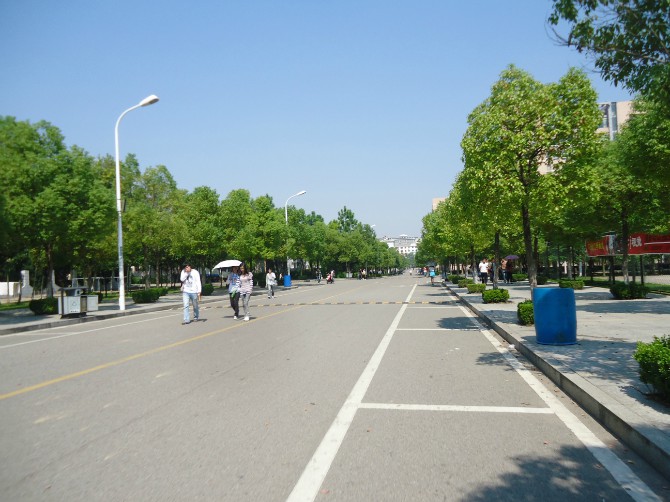 马路